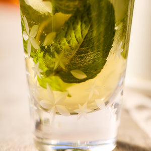 Chatham Bloom Highball Glasses thumbnail 5