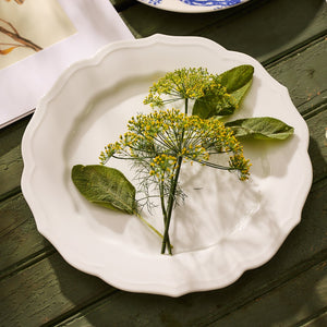 Stella Scalloped White Dinner Plate thumbnail 2