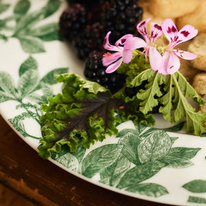 Arbor Green Rimmed Dinner Plate thumbnail 3