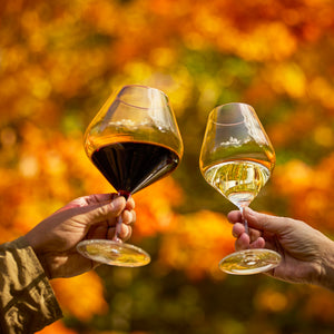 The Library Wine Lover's Starter Set thumbnail 2