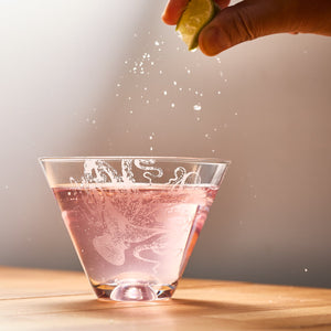 Lucy Stemless Martini Glasses thumbnail 5