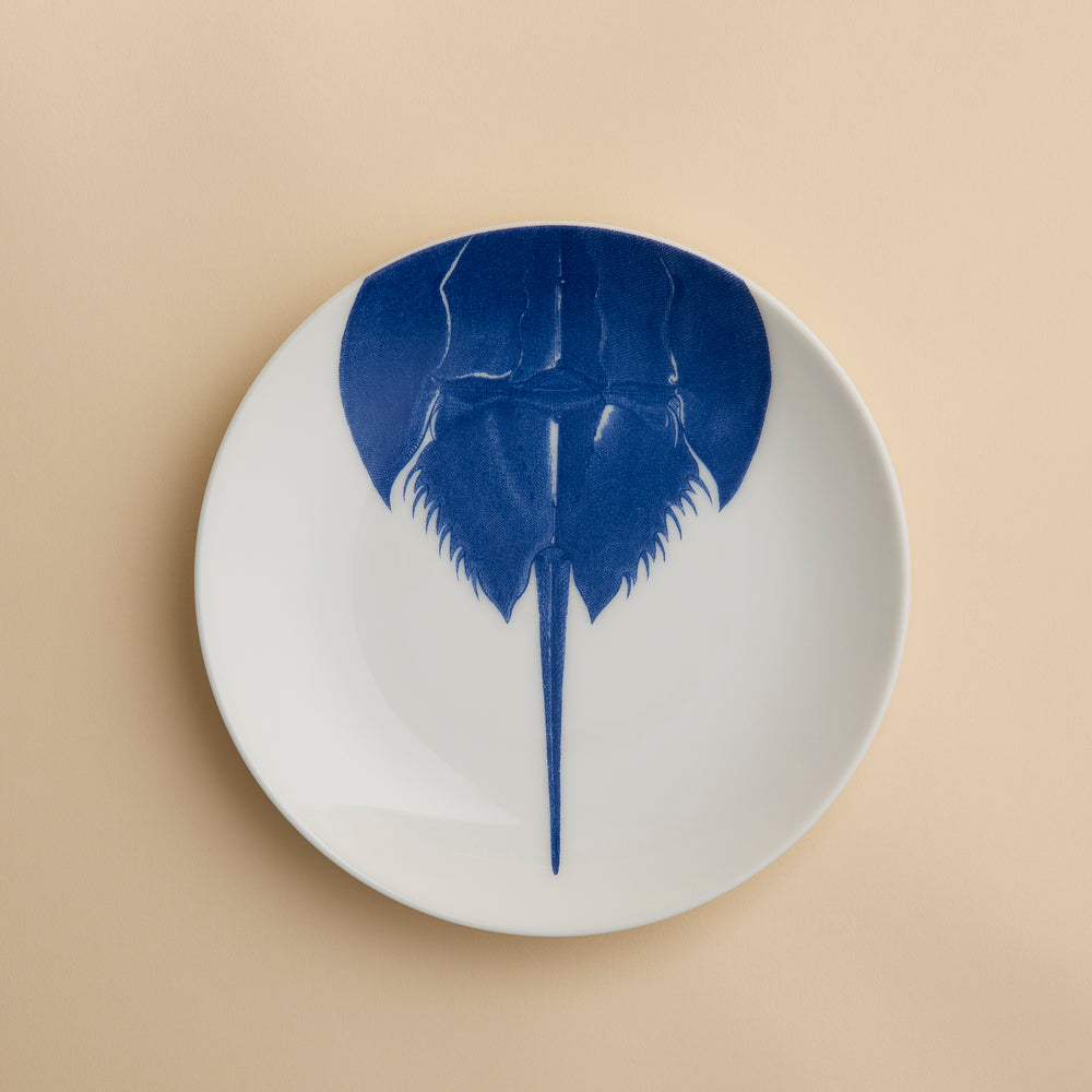 Horseshoe Crab Coupe Salad Plate