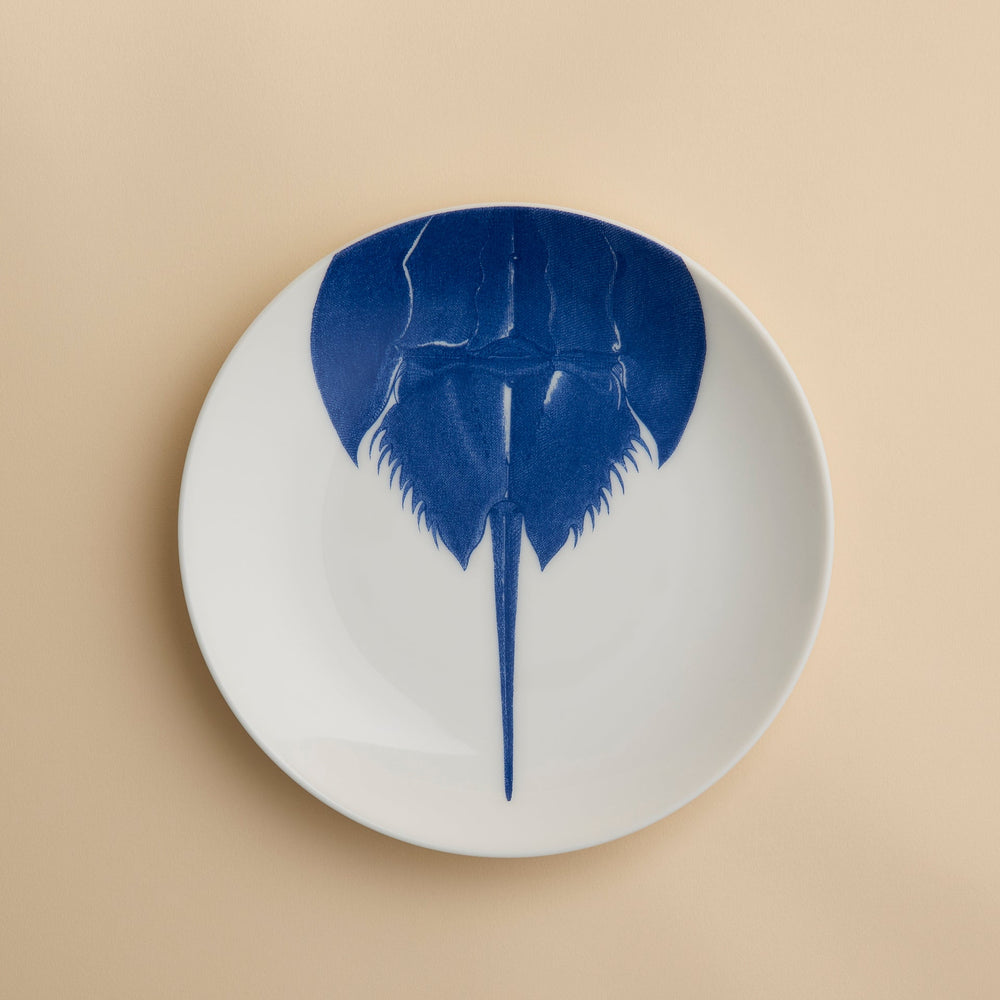 Horseshoe Crab Coupe Salad Plate