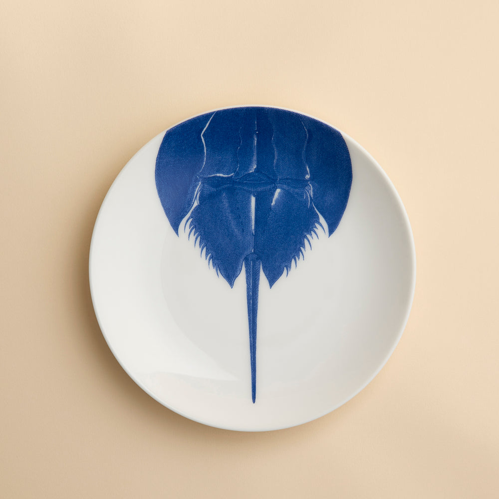 The Horseshoe Crab Coupe Salad Plate by Caskata Artisanal Home features a blue illustration of a horseshoe crab, seen from above, on a modern white coupe plate with its tail extending toward the bottom edge.